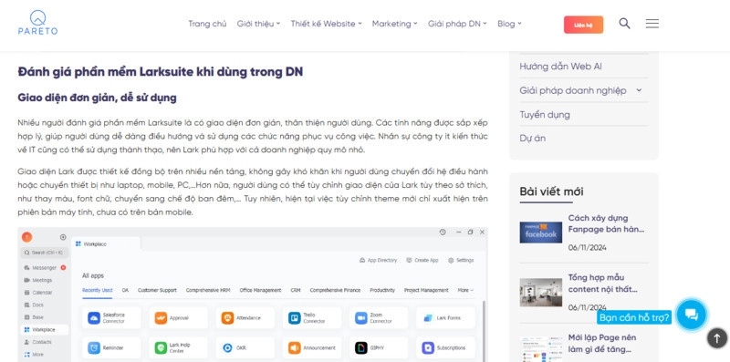 Các dạng bài content seo - content review