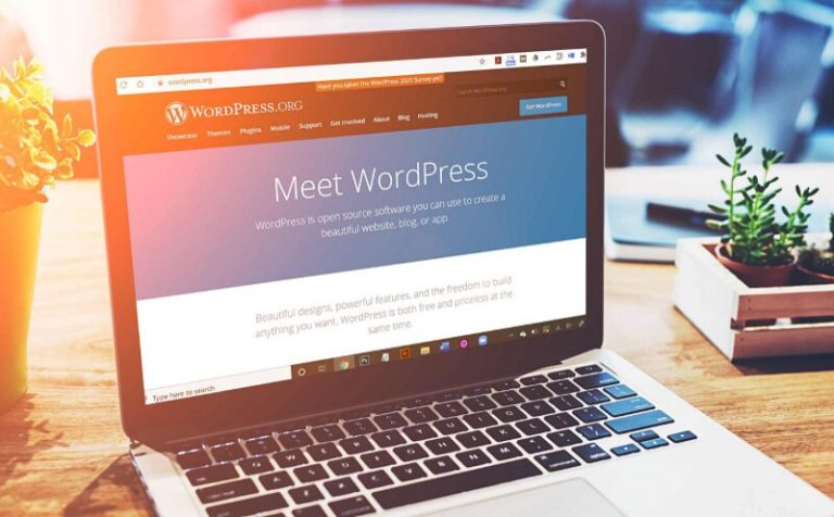 Có nên thiết kế web bằng WordPress không? Giải đáp chi tiết nhất