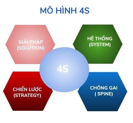 Những lợi ích của mô hình 4S là gì?